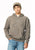 DARK GULL GRAY